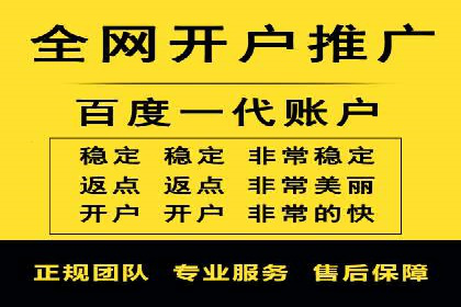 谷歌SEM案例研究：数据分析与效果评估